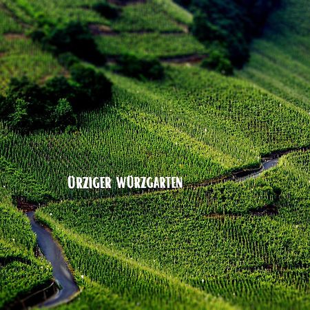 Apartment Weingut Dr Hermann I Erden Ngoại thất bức ảnh